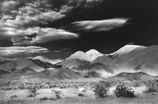 Desert scene near Shoshone-9748